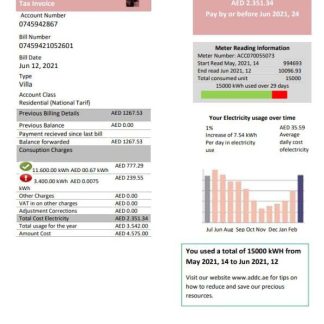 United Arab Emirates Abu Dhabi Distribution electricity utility bill template in Word and PDF format download template file