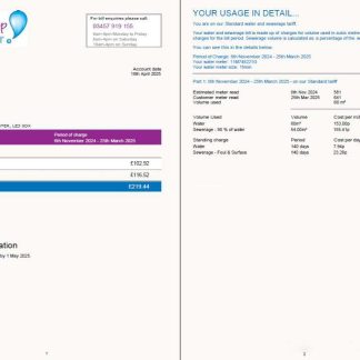 United Kingdom Anglian Water utility bill template in Word and PDF formats, 2 pages download template file