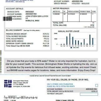 United Kingdom Birmingham Water utility bill template in Word and PDF formats, version 2 download template file