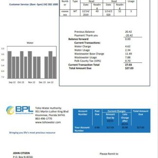 Bahamas Power and Light Company utility bill template in Word and PDF format download template file