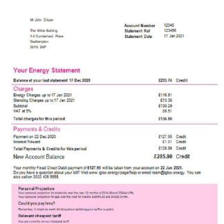 United Kingdom Igloo Energy utility bill template in Word and PDF format download template file