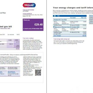United Kingdom Npower utility bill template in Word and PDF formats, 3 pages, 1 2 page download template file