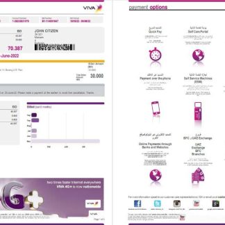Bahrain Viva my utility bill Word and PDF template, 5 pages 1 2 download template file