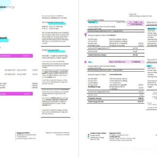 United Kingdom Octopus Energy utility bill template in Word and PDF format, 3 pages 1 2 download template file