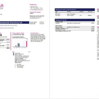 United Kingdom Opus Energy electricity utility bill template in Word and PDF format (2 pages) download template file