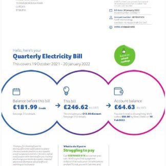 UNITED KINGDOM POWER NI utility bil Word and PDF template download template file