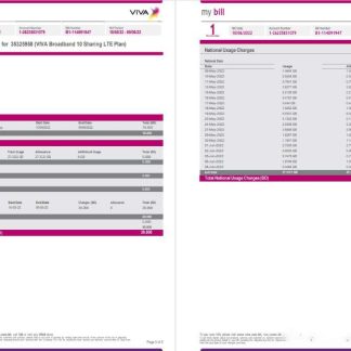 Bahrain Viva my utility bill Word and PDF template, 5 pages 3 4 download template file