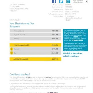 UNITED KINGDOM SHELL ENERGY utility bill template Word and PDF template download template file