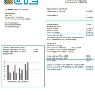 Uruguay UTE Company electricity utility bill template in Word and PDF format download template file