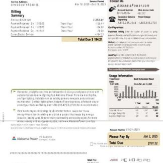 USA Alabama power utility bill download template file