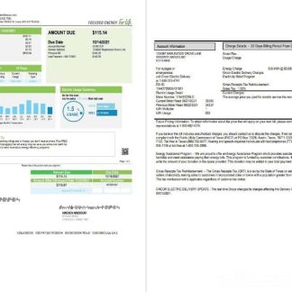 USA Ameren Missouri electricity utility bill template in Word and PDF format (2 pages) download template file
