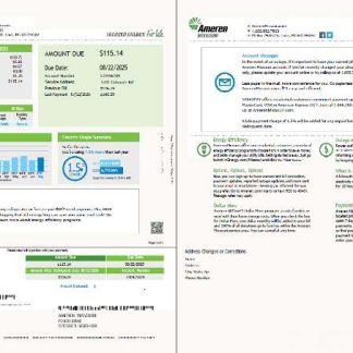 USA Ameren Missouri utility bill template in Word and PDF formats, 2 pages download template file