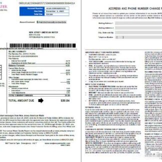 USA American Water utility bill template in Word and PDF formats, 2 pages, version 2 download template file