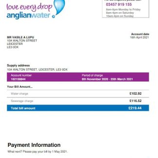 USA ANGLIAN WATER utility bill Word and PDF template download template file
