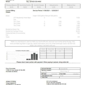 USA Arizona The City of Avondale Water utility bill template in Word and PDF format download template file