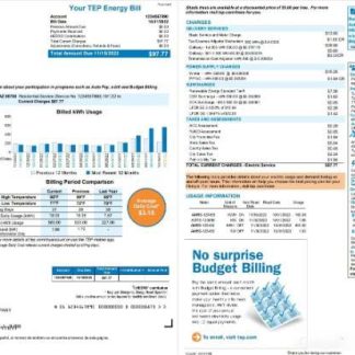 USA Arizona Tucson Electric Power (TEP) utility bill, Word and PDF template, 2 pages download template file