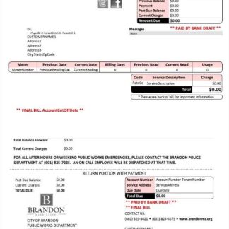 USA BRANDON MISSISSIPPI utility bill Word and PDF template download template file