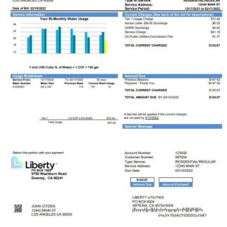 USA California Liberty Utilities utility bill template in Word and PDF format download template file