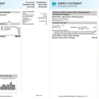 USA California PG&E (Pacific Gas and Electric Company) utility bill, Word and PDF template, 6 pages 3 4 download template file