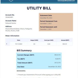 BANGLADESH WAZIPADICO POWER utility bill Word and PDF template download template file
