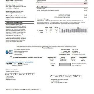 USA California Santa Clarita SCV Water utility bill template in Word and PDF format download template file