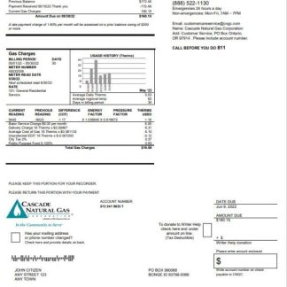 USA Cascade Natural Gas utility bill, Word and PDF template download template file