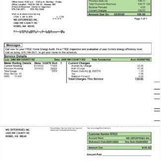 USA CENTRAL VALLEY ELECTRIC utility bill Word and PDF template download template file