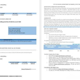 USA City of Chicago department of finance utility bill statement in Word and PDF formats download template file
