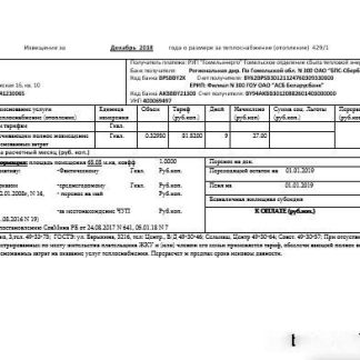 Belarus Gomel energo utility bill download template file