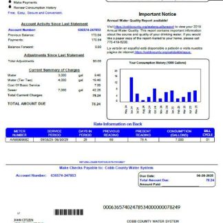 USA Cobb County Water System utility bill template in Word and PDF formats download template file