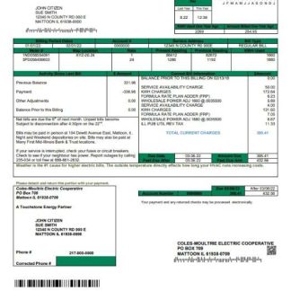 USA Coles – Moultrie utility bill template in Word and PDF format download template file