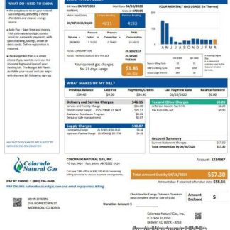 USA Colorado Natural Gas utility bill template in Word and PDF format download template file