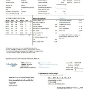 USA Columbia Gas of Ohio utility bill template in Word and PDF format download template file