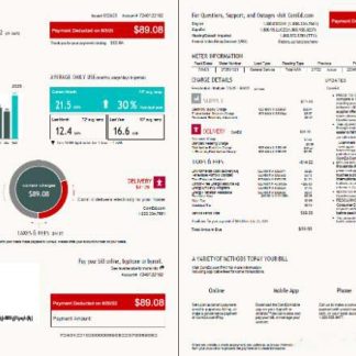 USA ComEd utility bill template in Word and PDF formats, 4 pages, 1 2 pages download template file