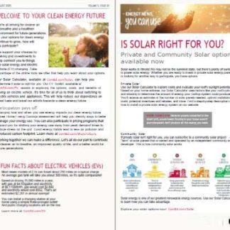 USA ComEd utility bill template in Word and PDF formats, 4 pages, 3 4 pages download template file