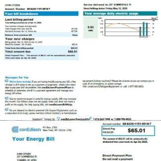 USA Conedison utility bill template in Word and PDF formats, version 2 download template file