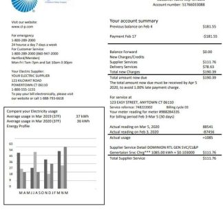 USA Connecticut Light & Power electricity utility bill in Word and PDF format download template file