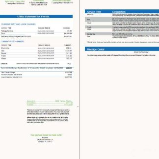 USA Conservice utility bill template in Word and PDF formats, 2 pages, version 2 download template file