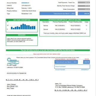 USA Consolidated Mutual Water utility bill template in Word and PDF format download template file