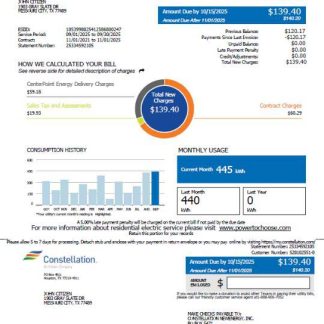 USA Constellation utility bill template in Word and PDF formats, version 2 download template file
