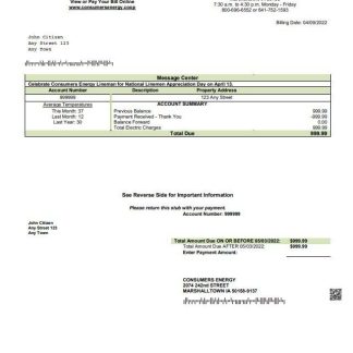 USA Consumers Energy utility bill template in Word and PDF format download template file