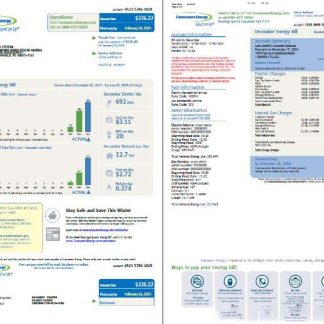 USA Consumers Energy utility bill template in Word and PDF formats, 2 pages download template file