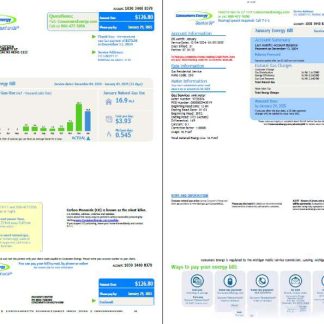 USA Consumers Energy utility bill template in Word and PDF formats, 2 pages, vesion 3 download template file