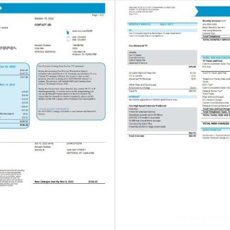USA COX utility bill template in Word and PDF format download template file