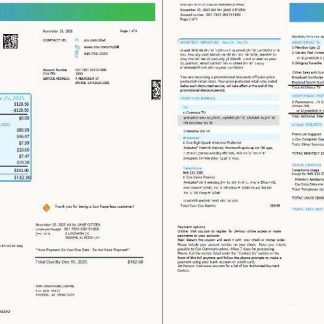 USA Cox utility bill template in Word and PDF formats, 4 pages, 1 2 pages download template file