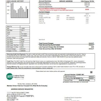 USA Craighead Electric utility bill template in Word and PDF format download template file