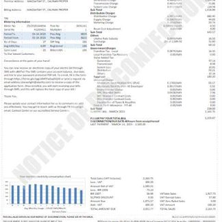 USA DAVAO LIGHT utility bill Word and PDF template download template file