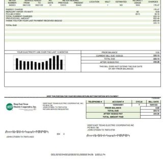 USA Deep East Texas Electric utility bill template in Word and PDF format download template file