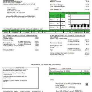 USA Delaware Electric Co op utility bill template in Word and PDF format download template file