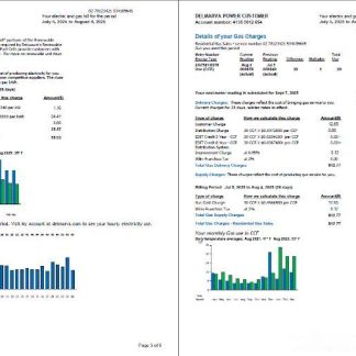 USA Delmarva Power utility bill template in Word and PDF formats, 5 pages, 3 4 pages download template file